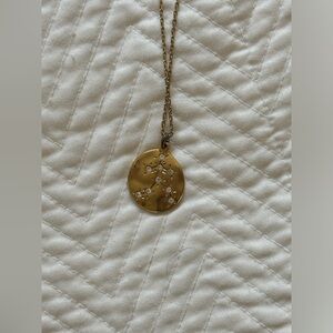 Aquarius Zodiac Medallion Necklace